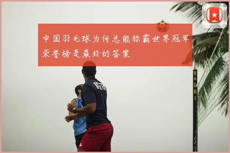 中国羽毛球为何总能称霸世界冠军荣誉榜是最好的答案