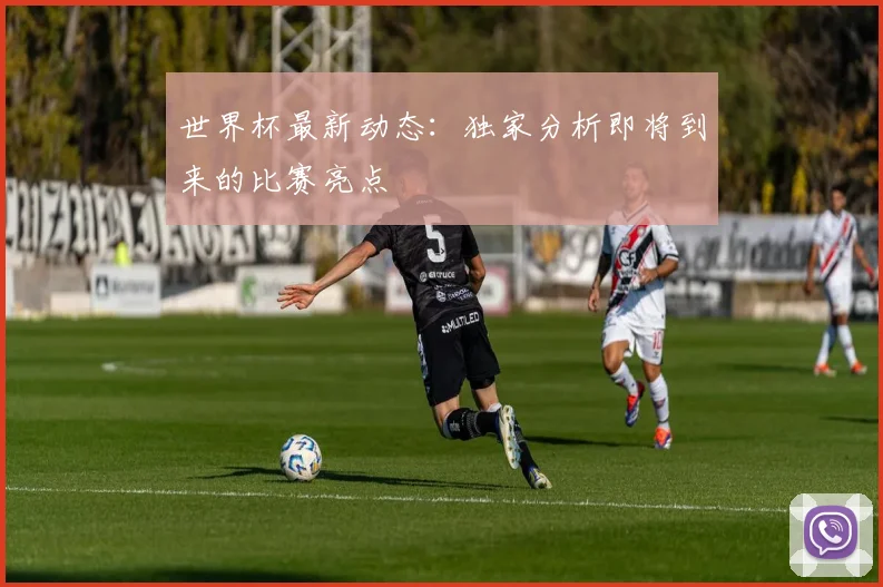世界杯最新动态：独家分析即将到来的比赛亮点