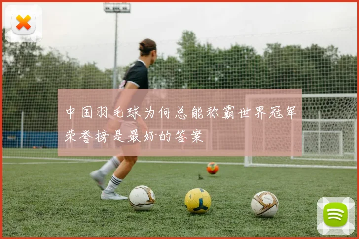 中国羽毛球为何总能称霸世界冠军荣誉榜是最好的答案