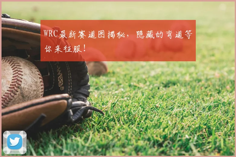 WRC最新赛道图揭秘，隐藏的弯道等你来征服！