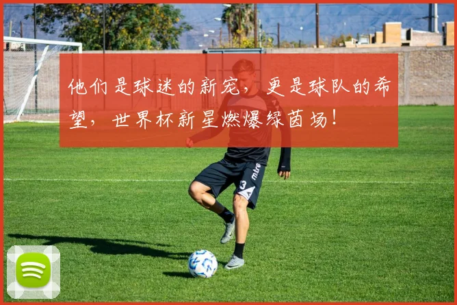 他们是球迷的新宠，更是球队的希望，世界杯新星燃爆绿茵场！