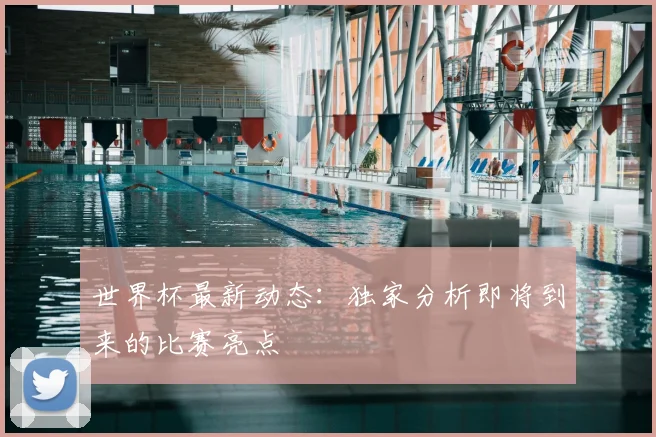 世界杯最新动态:独家分析即将到来的比赛亮点